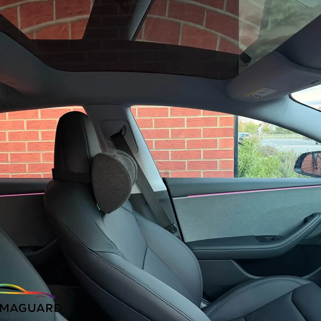Tesla · glass roof